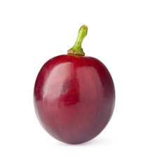 Red grape