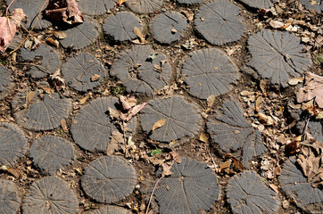 wooden pavement