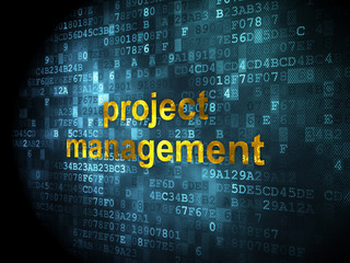 Fototapeta premium Business concept: Project Management on digital background
