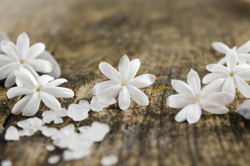 Fototapeta na wymiar white flower and pile of white salt on a grunge wood