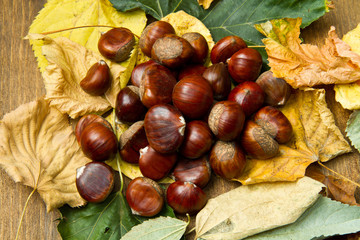 castagne