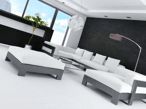 Modern Design Black and White Living Room Interior