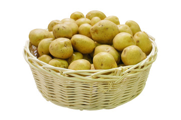 bucketful of potatoes