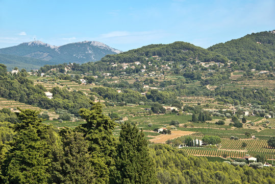 Vignoble de Bandol, massif de la Sainte Baume, Frande