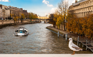 Autumn in Paris, cruise on river Seine