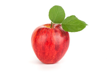 Red apple isolated