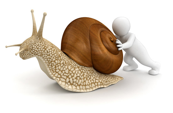 Man with snail (clipping path included)