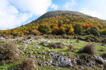 Colori d'autunno