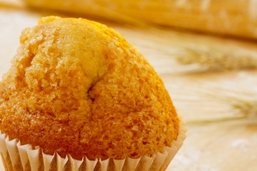 magdalena, typical spanish plain muffin