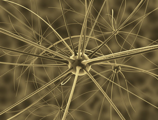 Neuron human brain cell