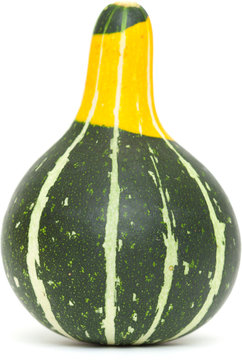ornamental gourd
