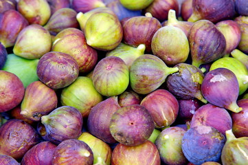 figues violette