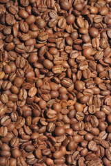 background with coffee beans