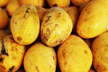 Ripe yellow mango fruit in the market.