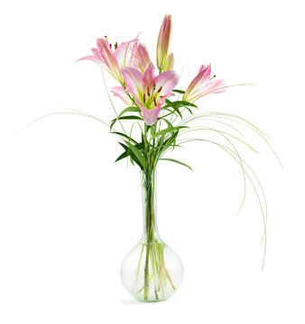 vase with lillys isolated on a white background