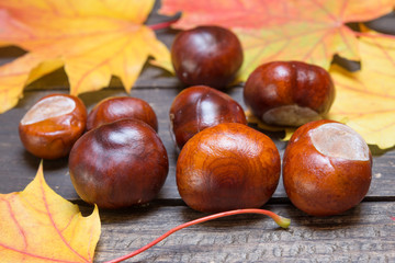 Kastanien und Herbstblätter