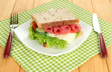 Tasty sandwich with salami sausage and vegetables