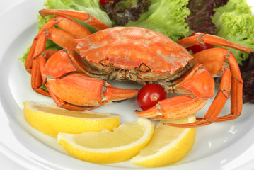 Boiled crab