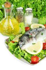 Dorado fish close-up