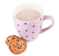 Cocoa drink  and cookie isolated on white