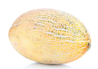 Ripe melon isolated on white