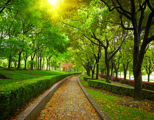 Naklejka premium Green city park. Shanghai, china
