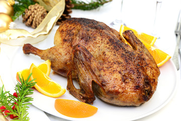 Ente mit Orangen