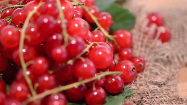 Rotating red Currants (loopable)