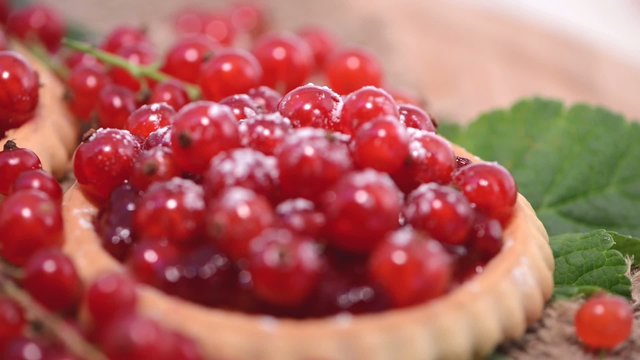 Loopable Red Currant Tart as background video