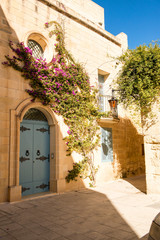 Mdina courtyard with fuchsiaflowers, malta