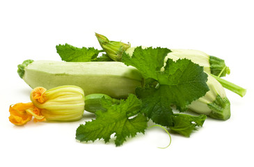 Flowers, leaves and vegetable marrow fruits isolated on a white