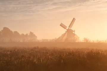 Naklejka na ściany i meble Holenderski wiatrak w porannym słońcu i mgle