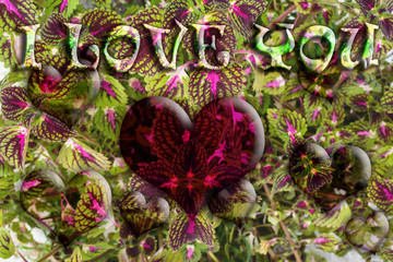 Love Heart of Flowers