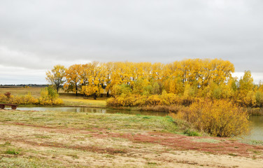 Fototapeta premium autumn river