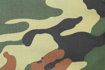 Camouflage texture pattern with green tones. © indigolotos