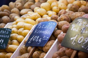 Patatoes lined on a counter of open market