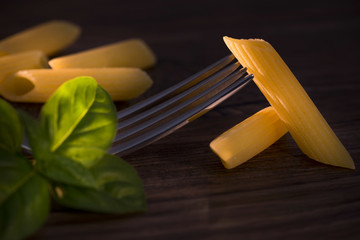 Pennette, italian raw pasta