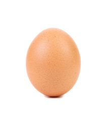 Brown egg