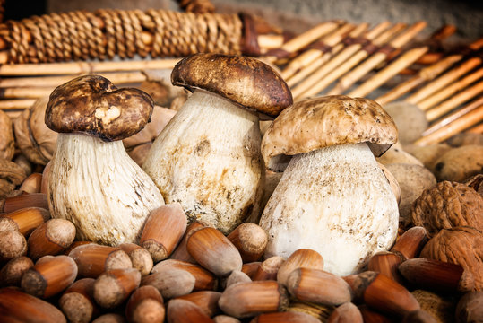 Mushroom boletus in a basket with nuts