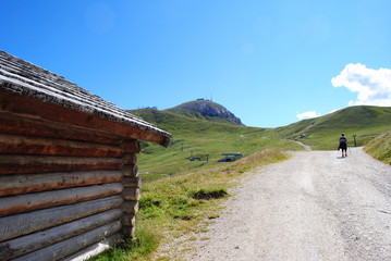 Sentiero alpino