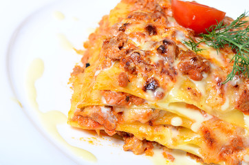 The Italian lasagna on a plate