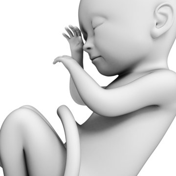 3d rendered illustration of a fetus, month 9