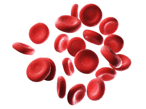 3d rendered illustration of human red blood cells