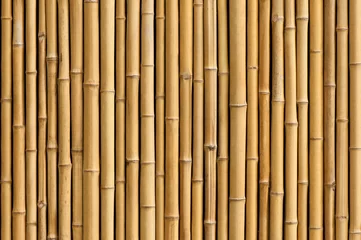 Fotobehang bamboe hek achtergrond © ohishiftl