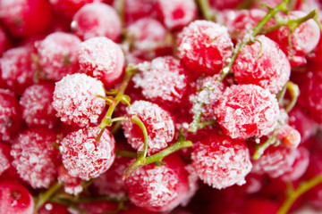 Frozen red currant berries.