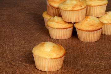 Plain cupcakes