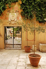 Doorway with Two Olive Trees