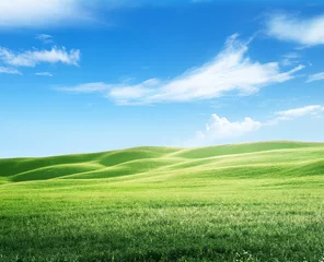 Fensteraufkleber field of grass and perfect sky © Iakov Kalinin