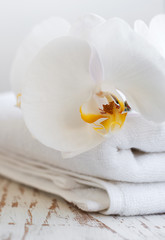Fototapeta na wymiar Orchids and spa towel