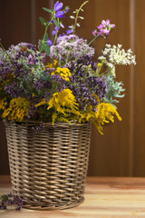 Bouquet of medicinal herbs on a wooden background